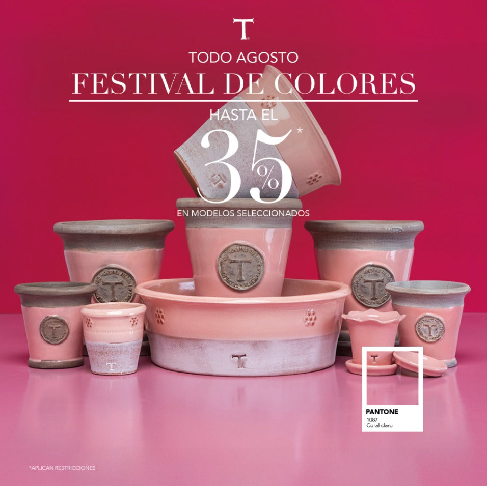 35% FESTIVAL DE COLORES