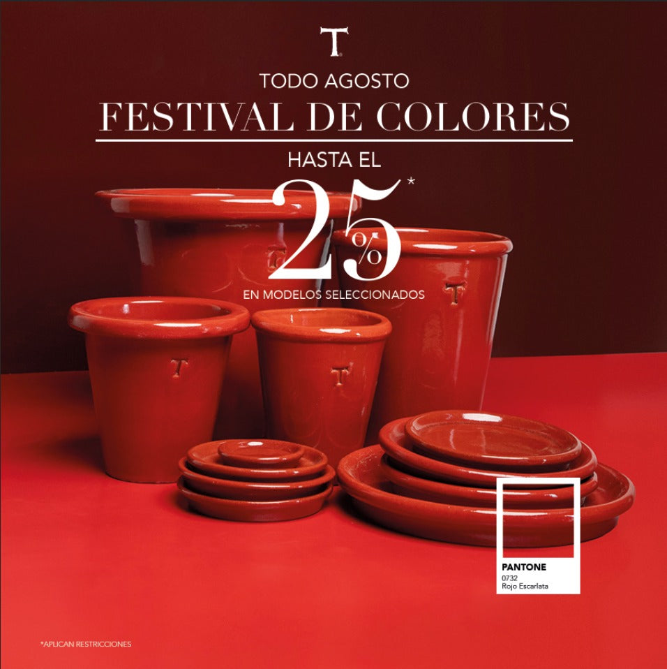 25% FESTIVAL DE COLORES