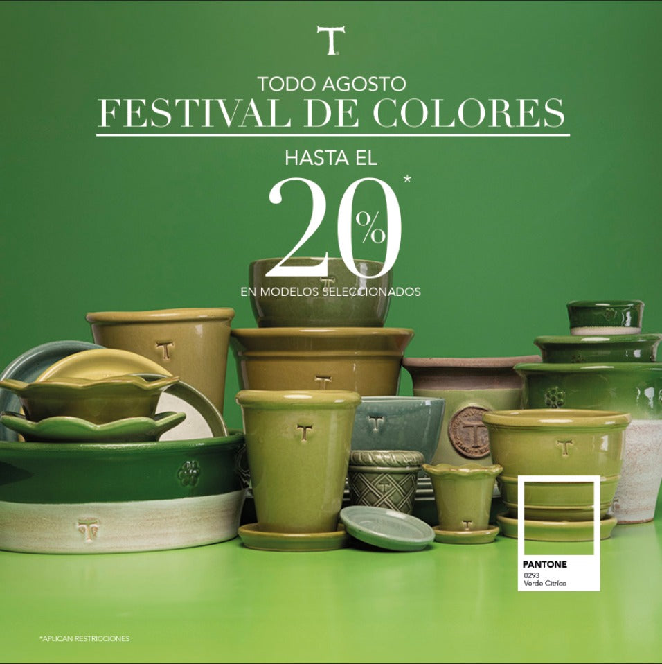 20% FESTIVAL DE COLORES