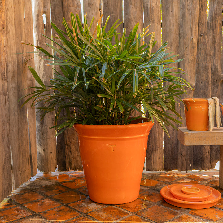 VASO LISO 54CM AL 57CM DBOCA