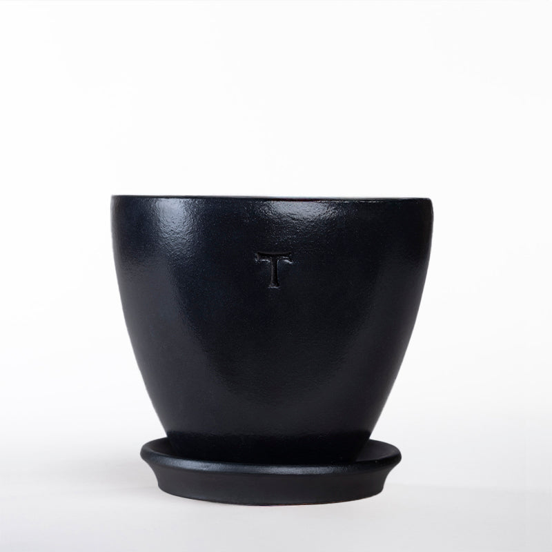 SET BOWL CONTEMPO 18CM AL 18CM DBOCA /1016 | Trinitate