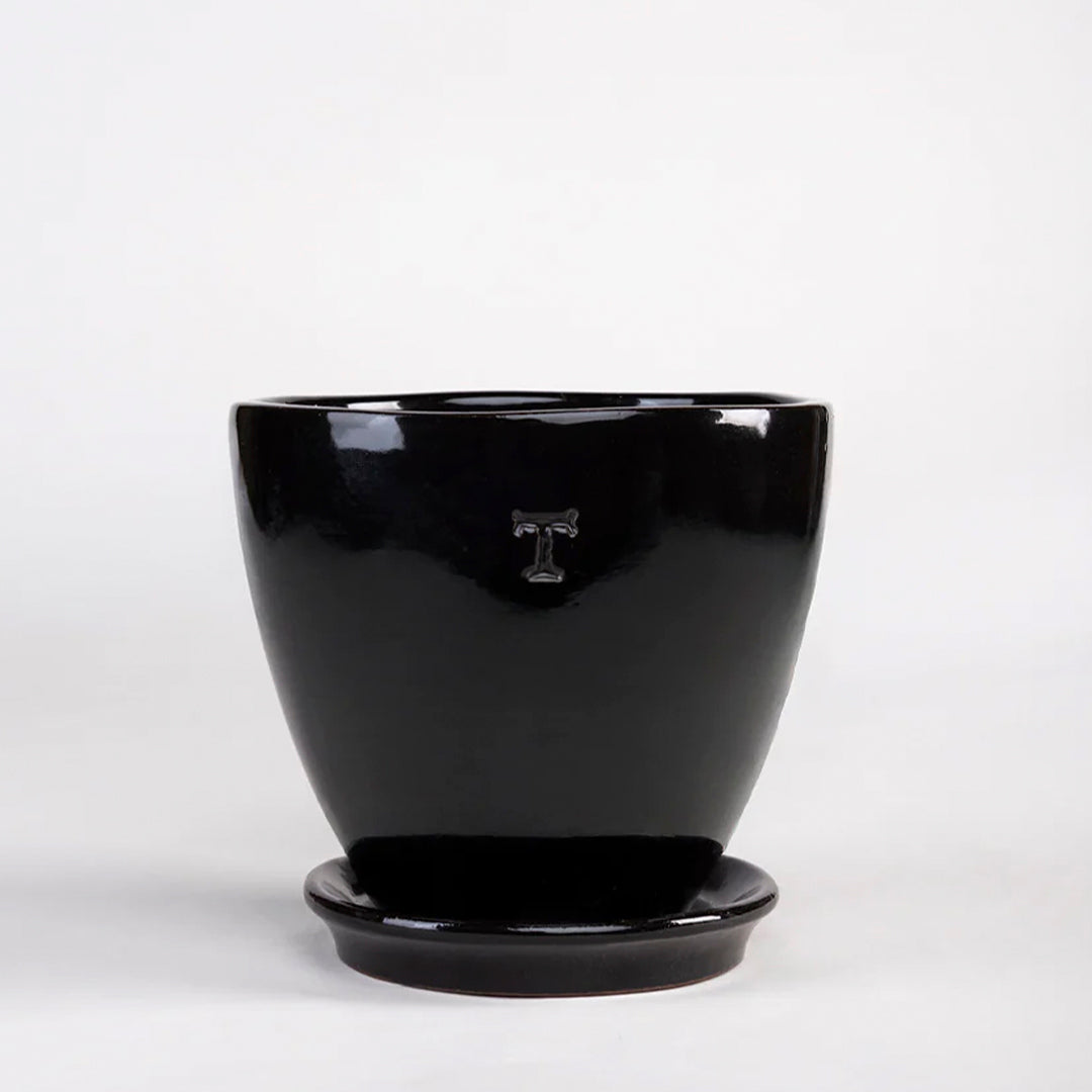 SET BOWL CONTEMPO 18CM AL 18CM DBOCA /1016 | Trinitate