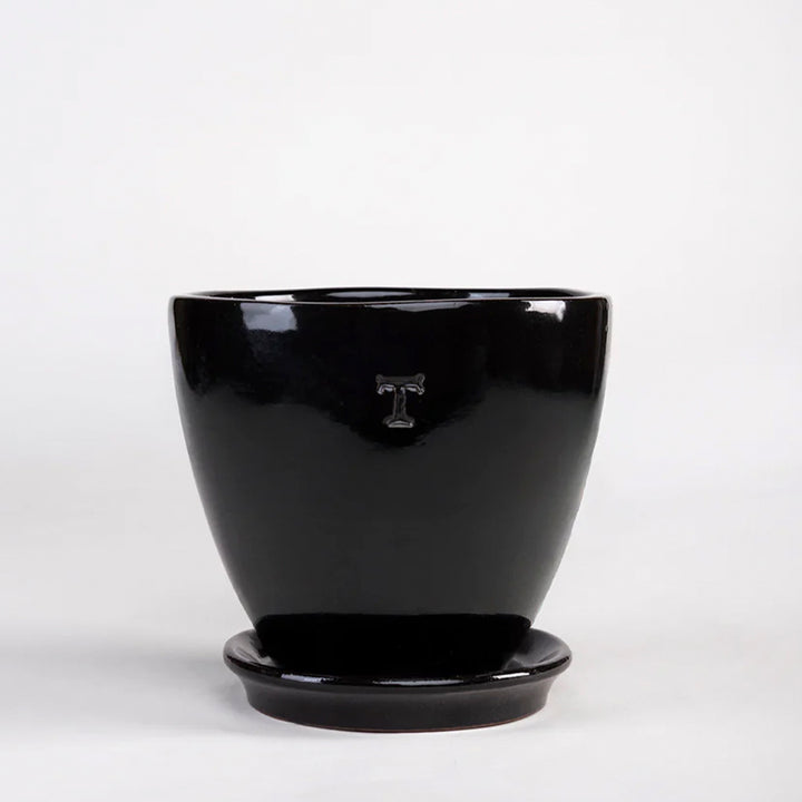 SET BOWL CONTEMPO 18CM AL 18CM DBOCA /1016 | Trinitate