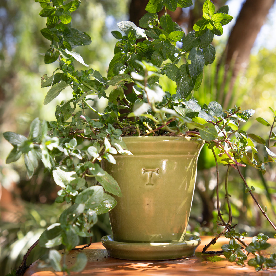 VASO LISO 13CM AL 14CM DBOCA