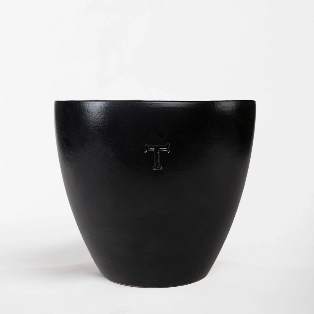BOWL CONTEMPO 23CM AL 27.5CM DBOCA | Trinitate
