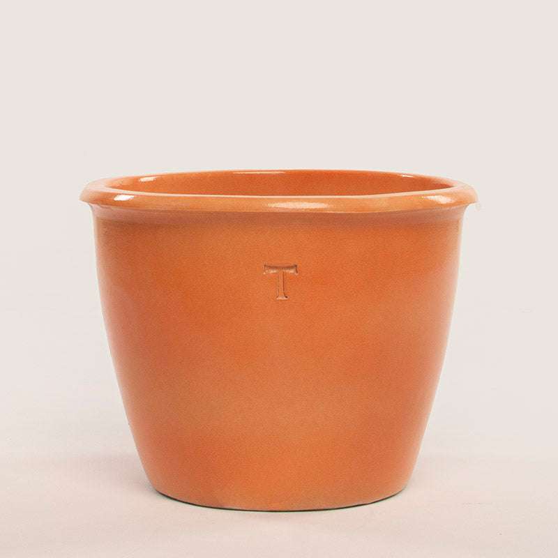 BOWL MEXICANO 41CM AL 51CM DBOCA | Trinitate