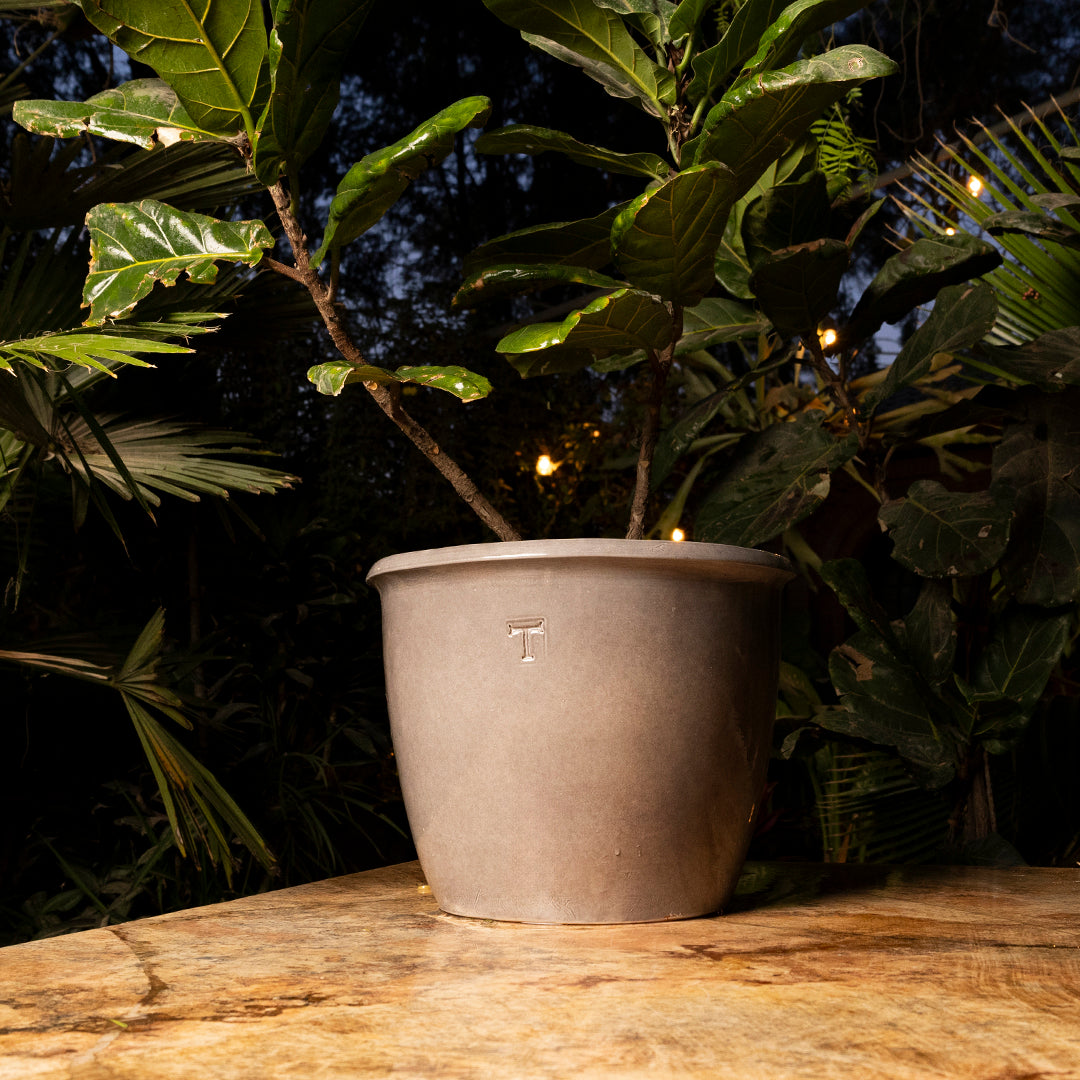 BOWL MEXICANO 32CM AL 42CM DBOCA