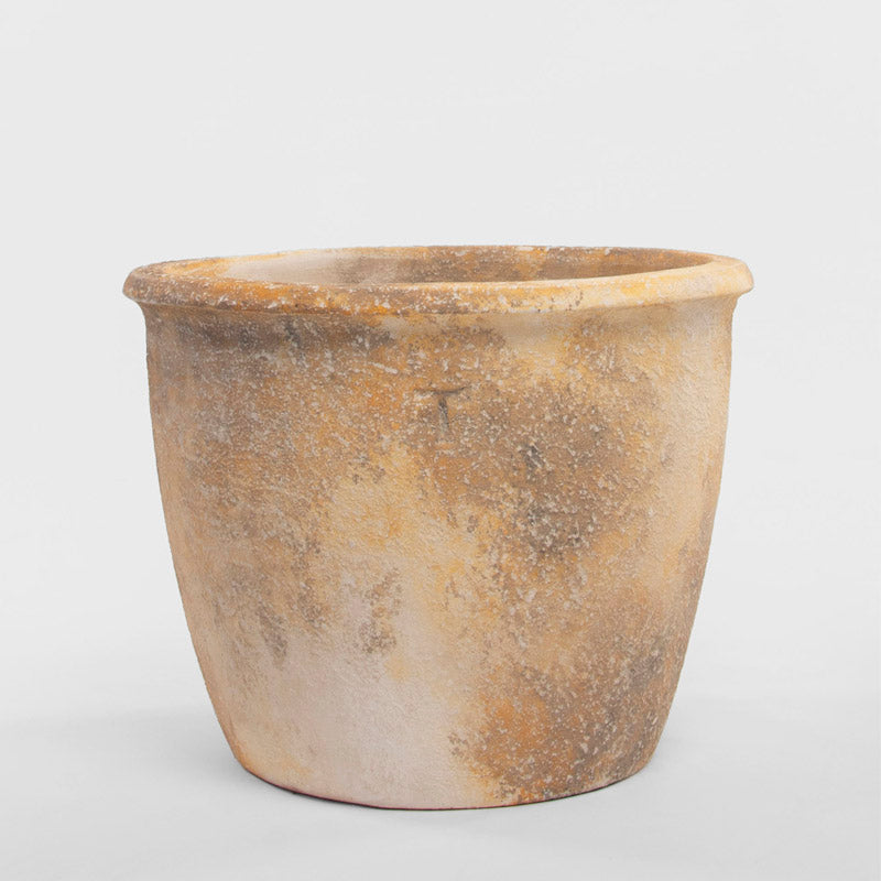 BOWL MEXICANO 41CM AL 51CM DBOCA | Trinitate