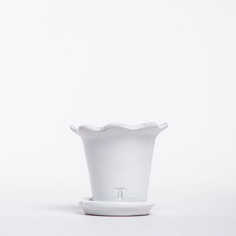 SET MACETA GIRASOL 6CM AL 8.5CM DBOCA /9801 | Trinitate