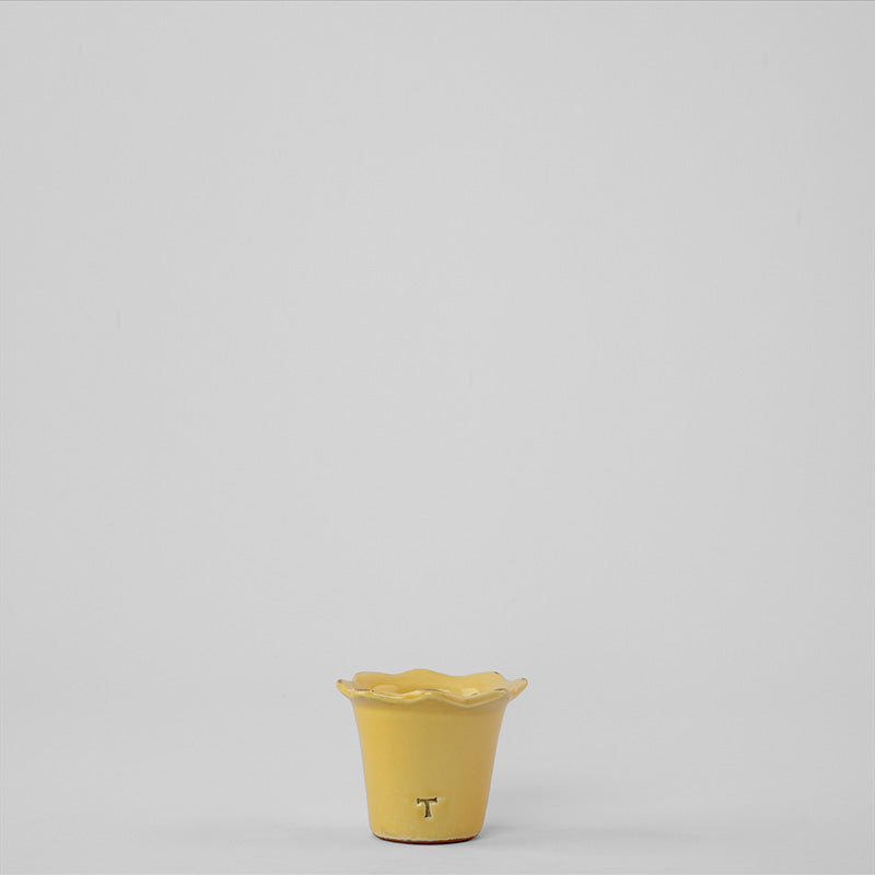 MACETA GIRASOL 6CM AL 8.5CM DBOCA | Trinitate