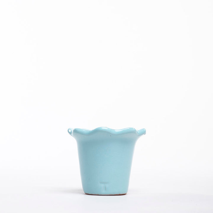 MACETA GIRASOL 6CM AL 8.5CM DBOCA