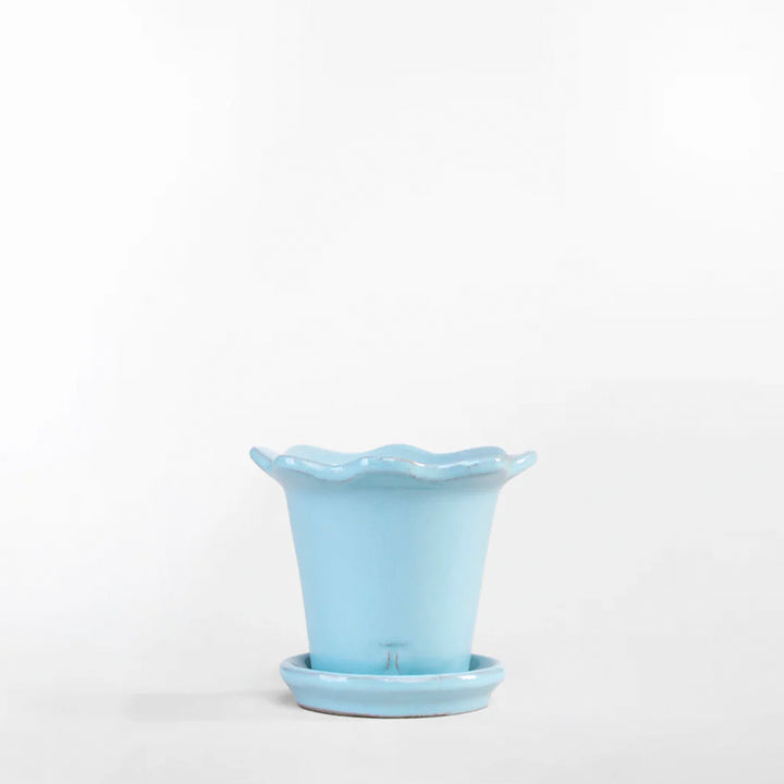 SET MACETA GIRASOL 6CM AL 8.5CM DBOCA /9801 | Trinitate