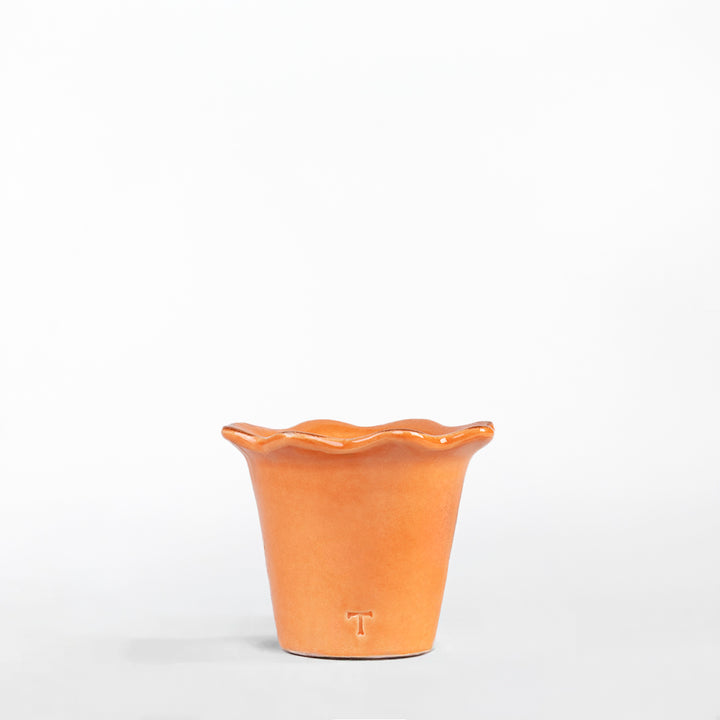 MACETA GIRASOL 6CM AL 8.5CM DBOCA