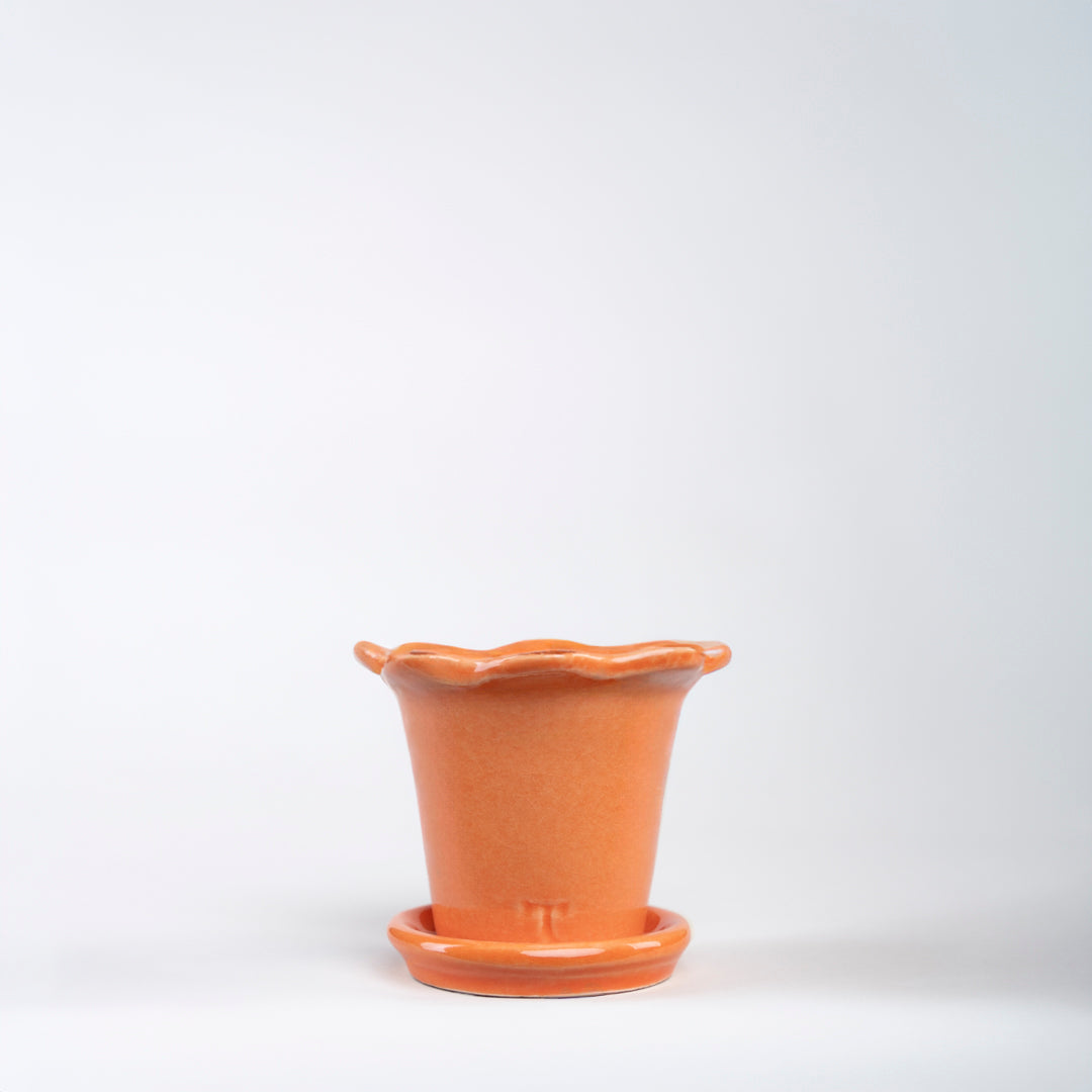SET MACETA GIRASOL 6CM AL 8.5CM DBOCA /9801 | Trinitate