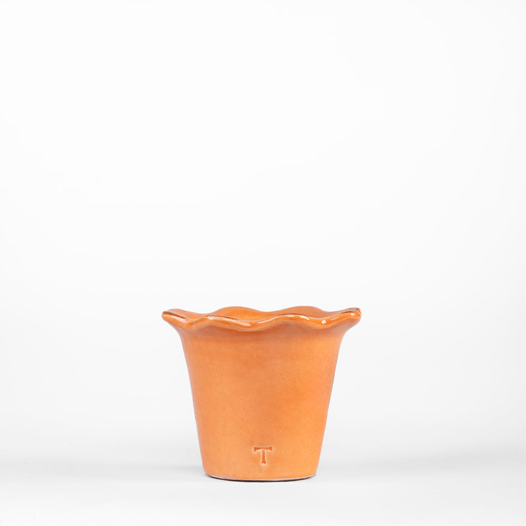 MACETA GIRASOL 6CM AL 8.5CM DBOCA