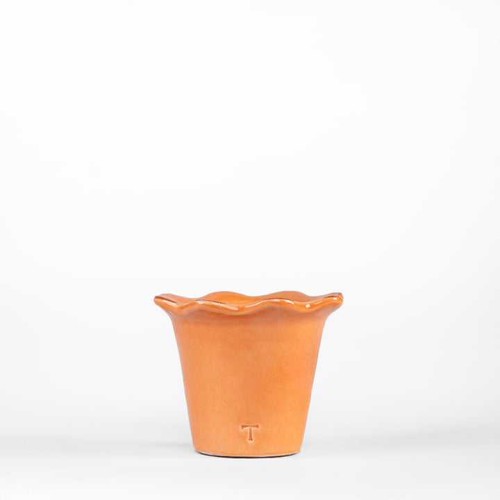 MACETA GIRASOL 6CM AL 8.5CM DBOCA