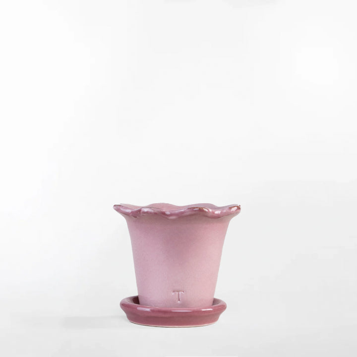 SET MACETA GIRASOL 6CM AL 8.5CM DBOCA /9801 | Trinitate