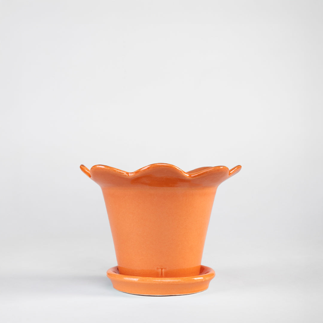SET MACETA GIRASOL 12.5CM AL 18.5CM DBOCA /1015 | Trinitate