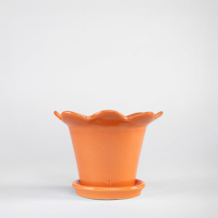 SET MACETA GIRASOL 12.5CM AL 18.5CM DBOCA /1015 | Trinitate