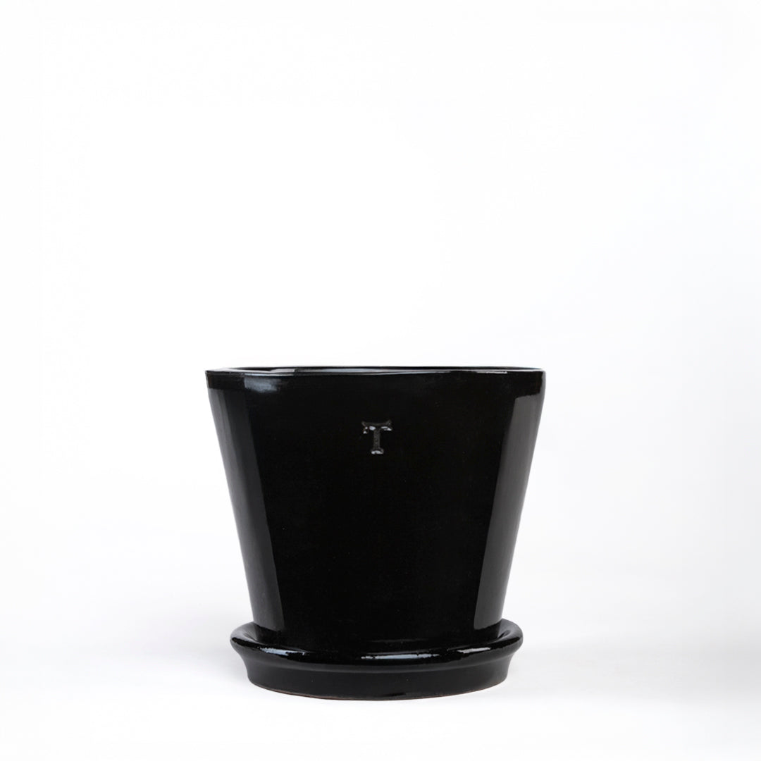 SET VASO 12CM AL 13.5CM DBOCA /1015
