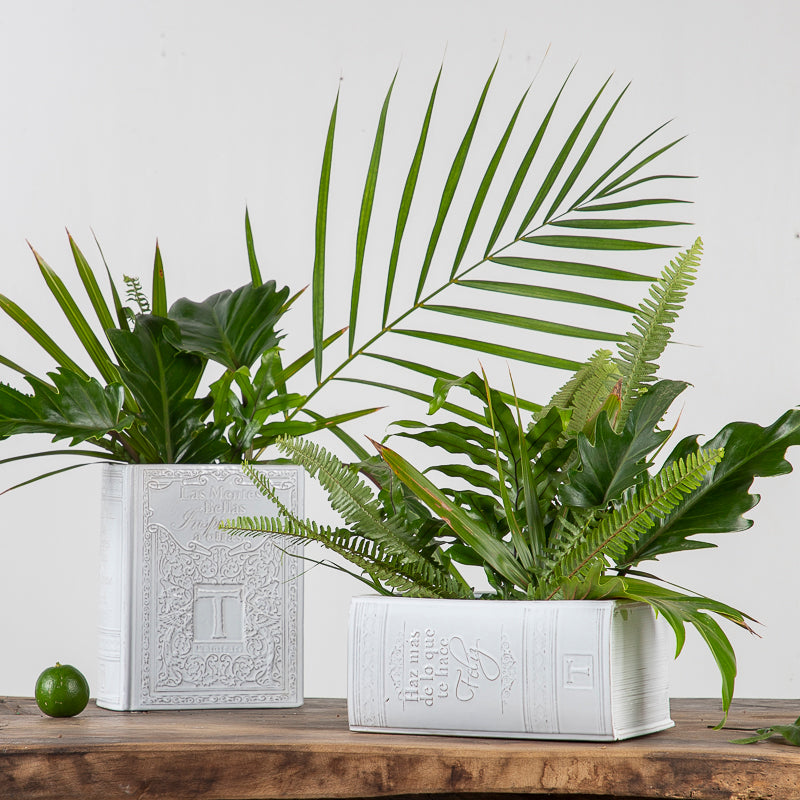 FLORERO LIBRO 12.5CM AL 26CM L 20CM AN