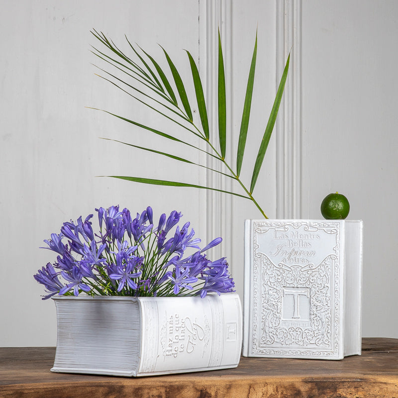 FLORERO LIBRO 26CM AL 20CM L 12.5CM AN