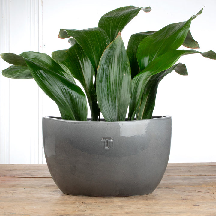 MACETA OVALADA LISA 23CM AL 39CM L 15CM AN | Trinitate