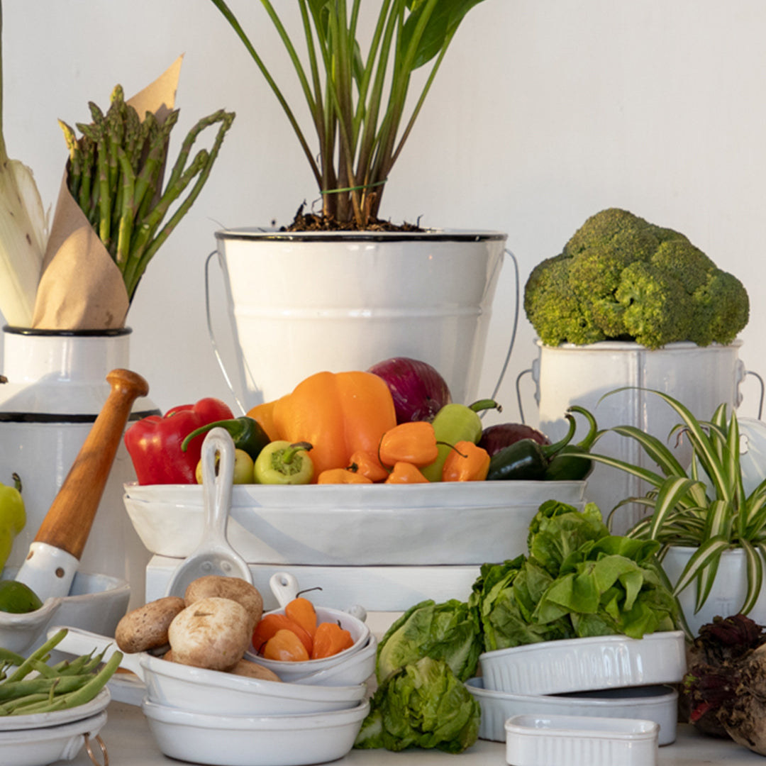 PLATON CACHARRO 4CM AL 36CM L 21.5CM AN