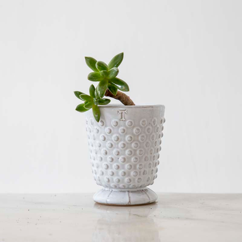 FLORERO POLKA 8CM AL 7.5CM D