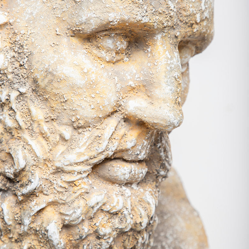 BUSTO HERCULES 55 CM AL | Trinitate