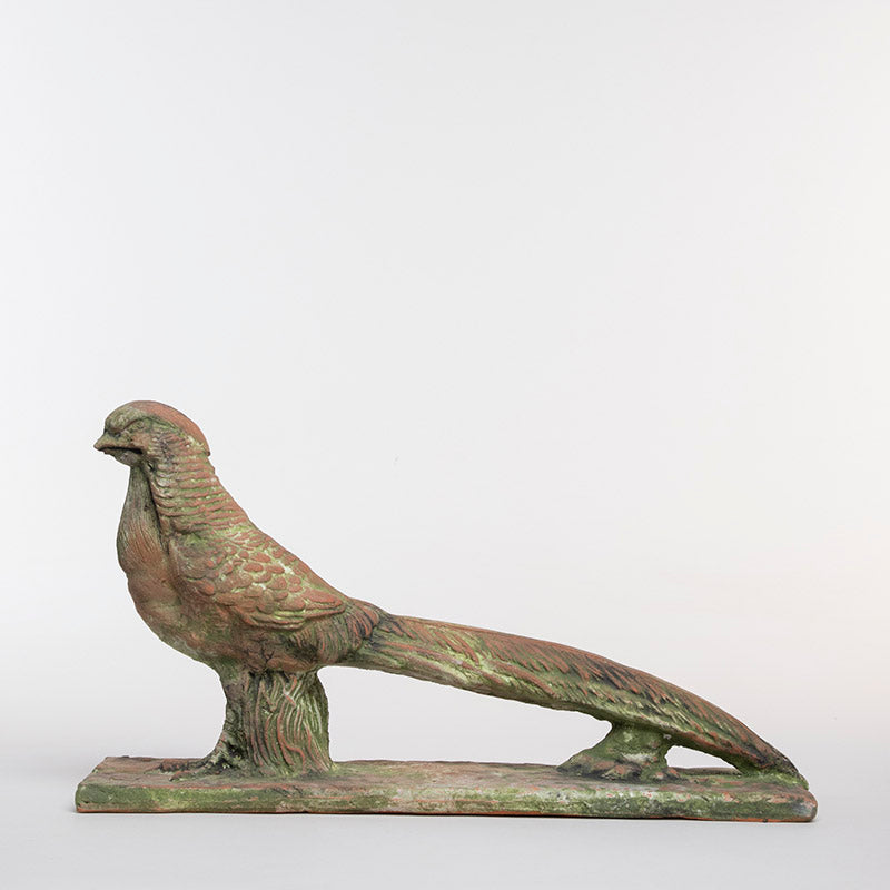 FAISAN MACHO 24CM AL | Trinitate