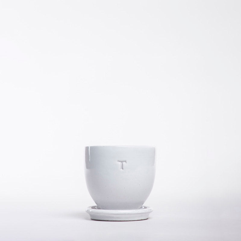 SET BOWL RECORTADO 9CM AL 10CM DBOCA /1014 | Trinitate