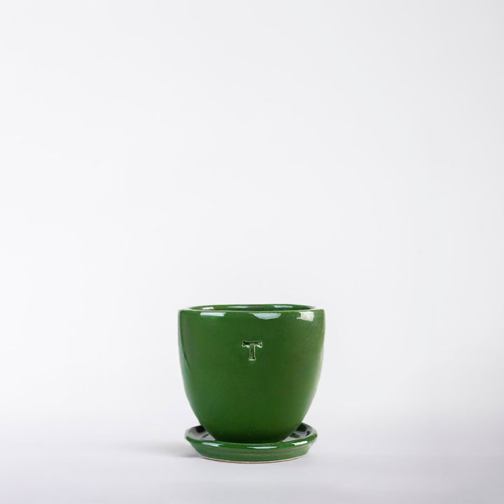 SET BOWL RECORTADO 9CM AL 10CM DBOCA /1014