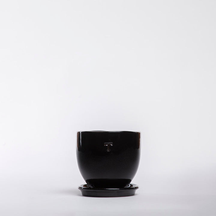 SET BOWL RECORTADO 9CM AL 10CM DBOCA /1014 | Trinitate