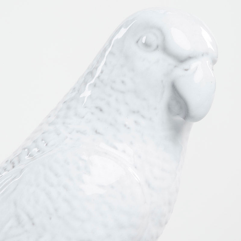 PERICO MACHO 24.5CM AL | Trinitate