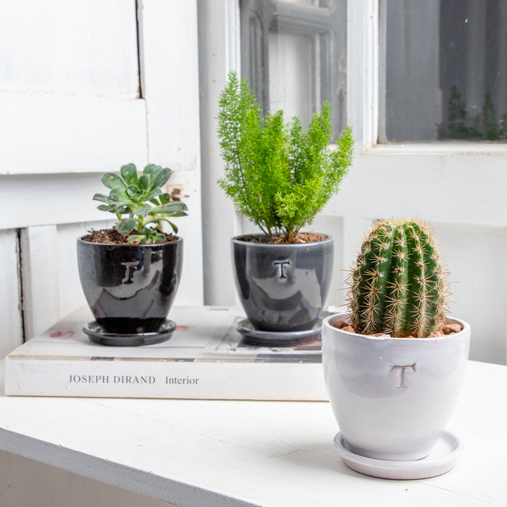 SET BOWL CONTEMPO 9.5CM AL 10CM DBOCA /1014