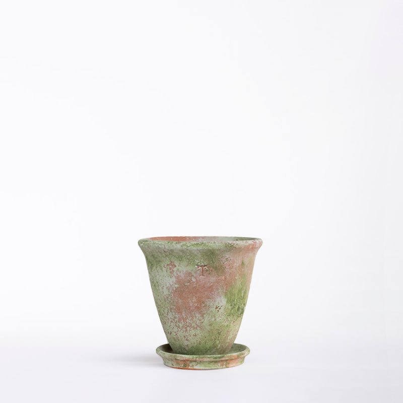 SET VASO ACAMPANADO 13CM AL 13.5CM DBOCA/1014