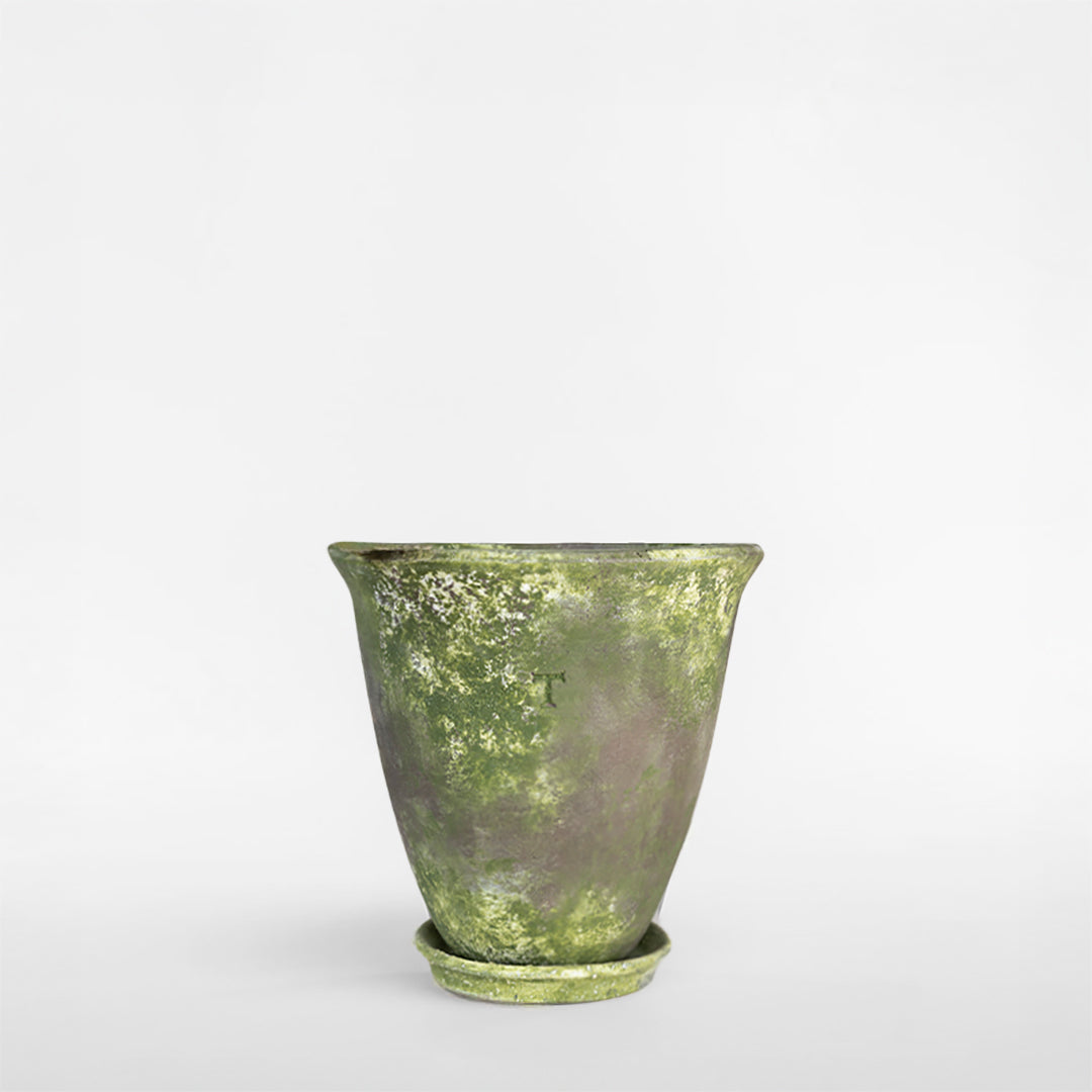 SET VASO ACAMPANADO 23CM AL 24CM DBOCA /1016
