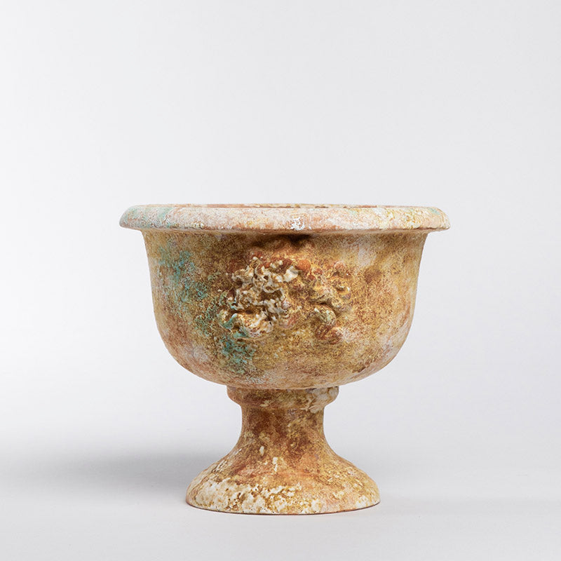 COPA MEDUSA 17.5CM AL 20CM D | Trinitate