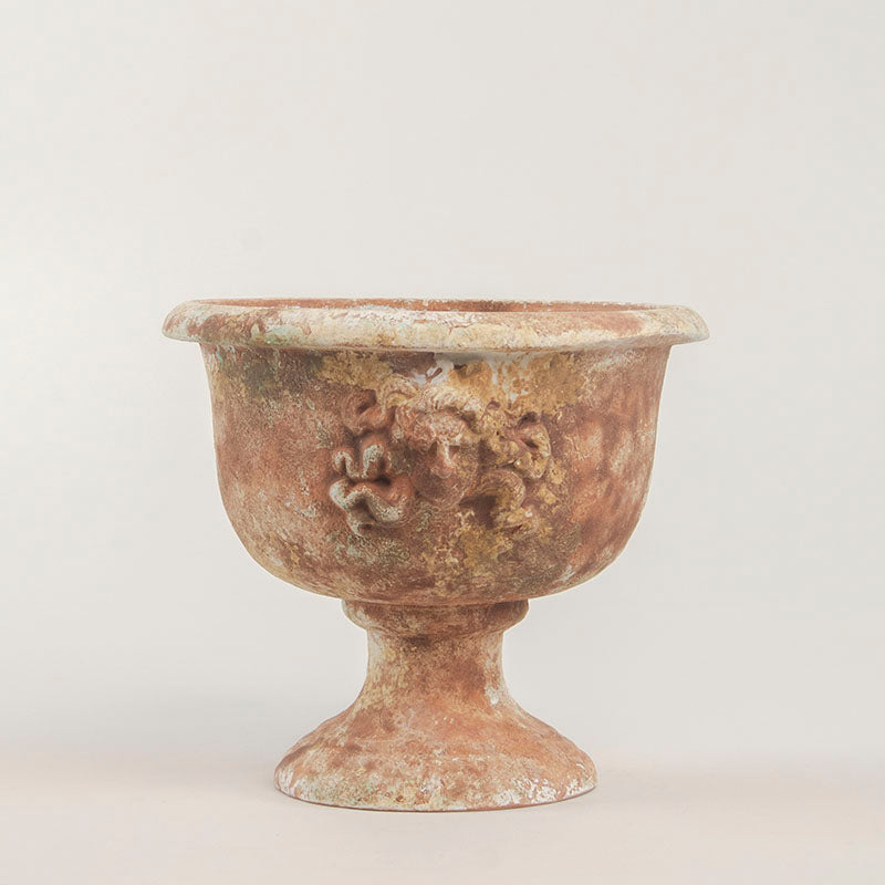 COPA MEDUSA 23.5CM AL 28.5CM D | Trinitate