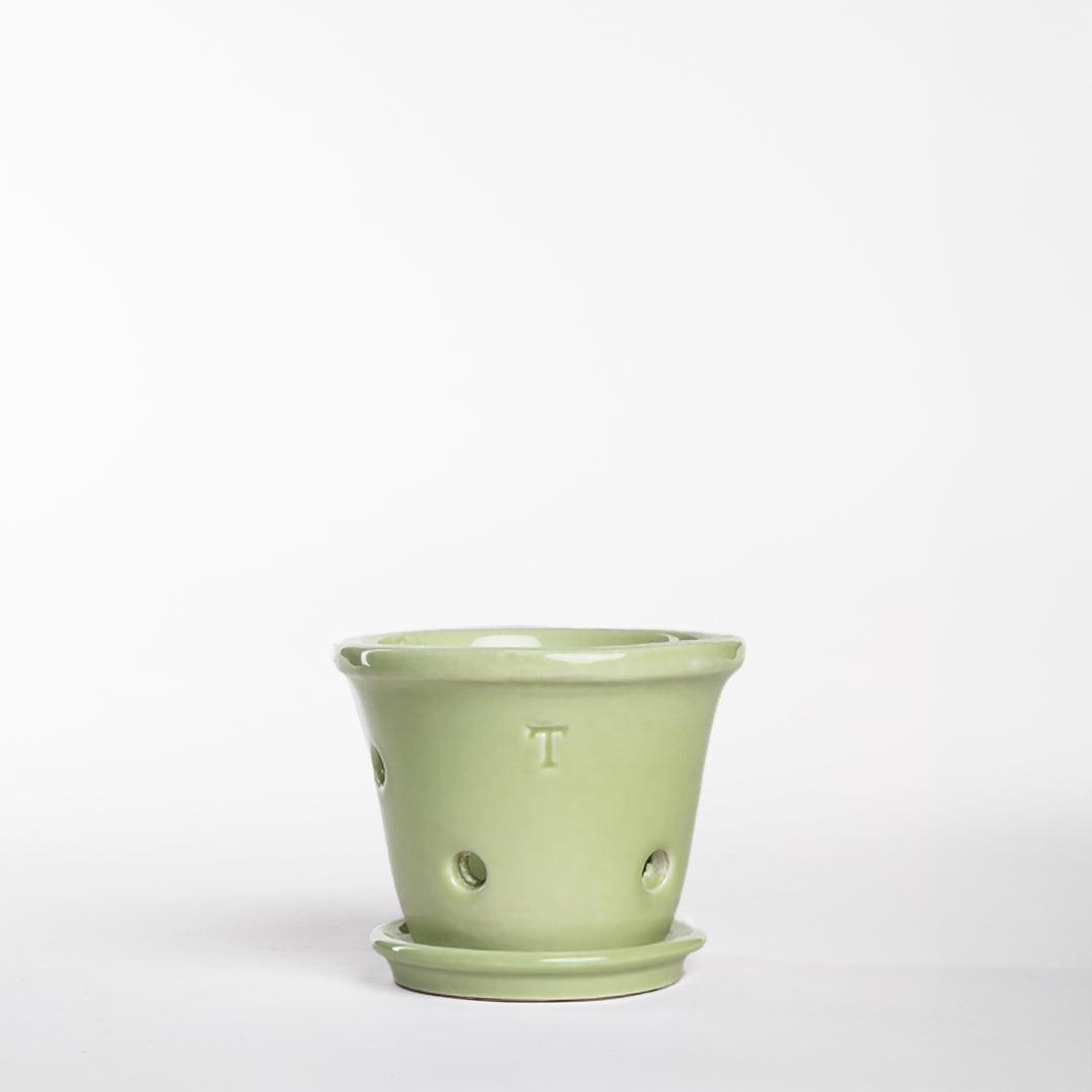 SET TINA RUSTICA ORQUIDEA 9CM AL 12CM DBOCA /1014