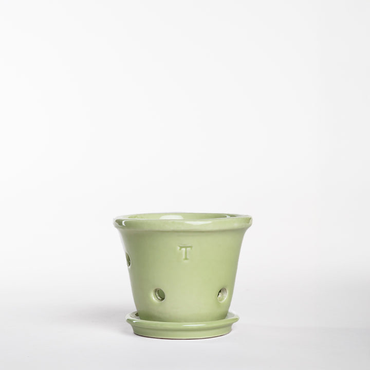 SET TINA RUSTICA ORQUIDEA 9CM AL 12CM DBOCA /1014
