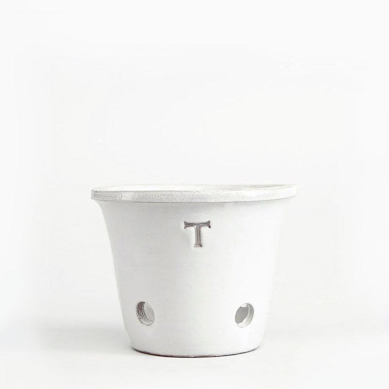 TINA RUSTICA ORQUIDEA 12CM AL 15.5CM DBOCA