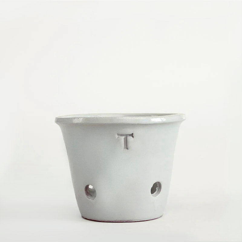 TINA RUSTICA ORQUIDEA 12CM AL 15.5CM DBOCA