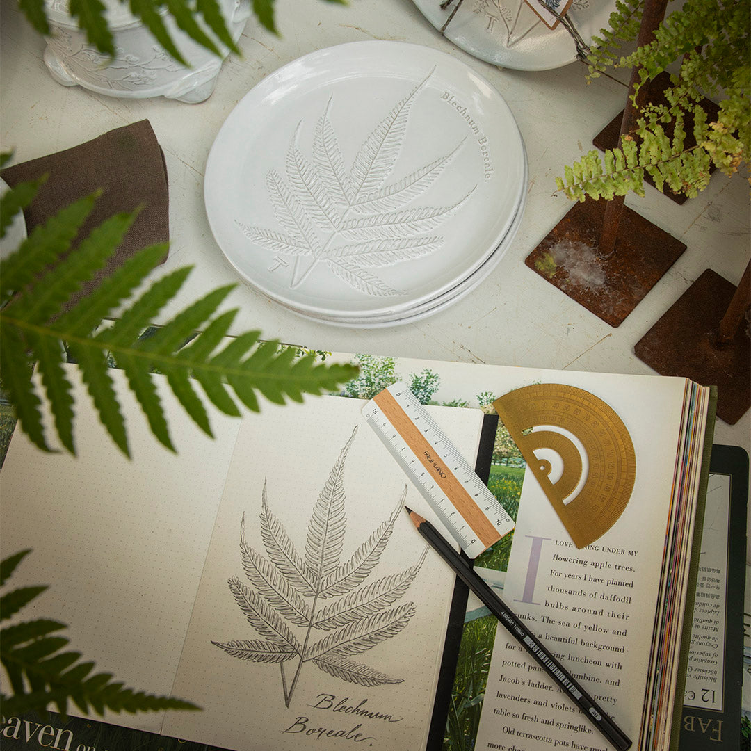 PLATO HELECHO BLECHNUM BOREALE 22CM D | Trinitate