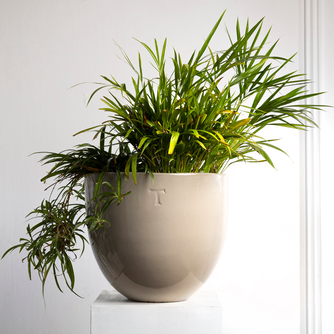 BOWL RECORTADO 27CM AL 30CM DBOCA | Trinitate