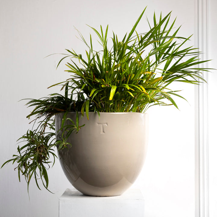 BOWL RECORTADO 27CM AL 30CM DBOCA | Trinitate