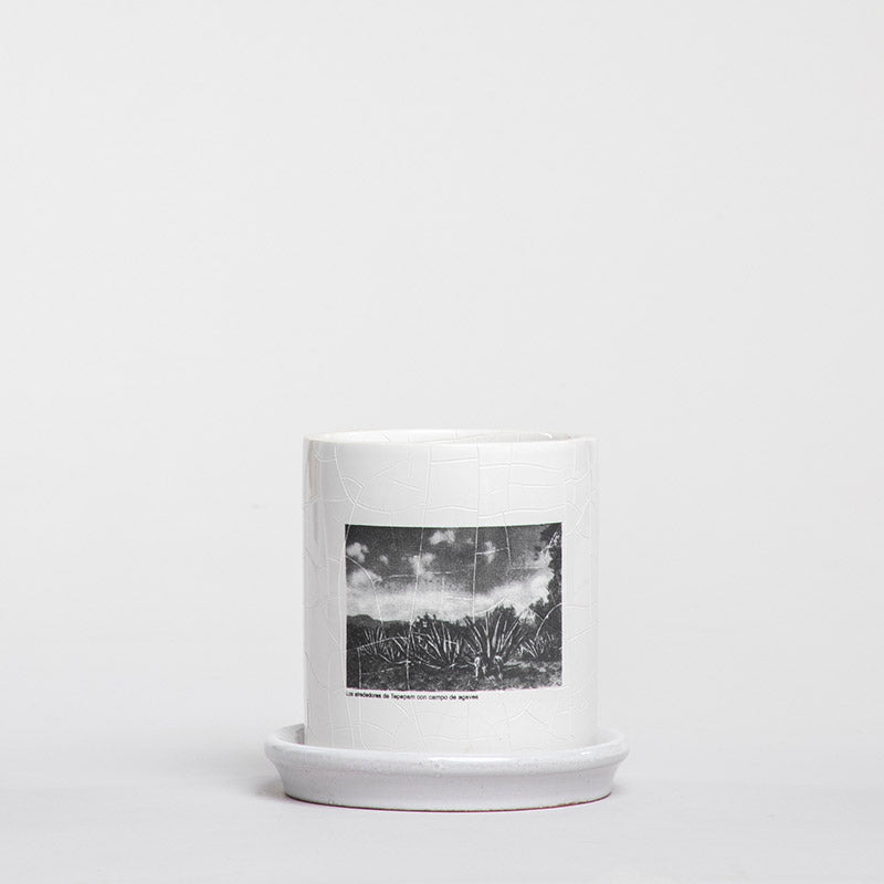 MACETA CILINDRO AGAVEZ 11.5CM AL 11.5CM DMAX | Trinitate