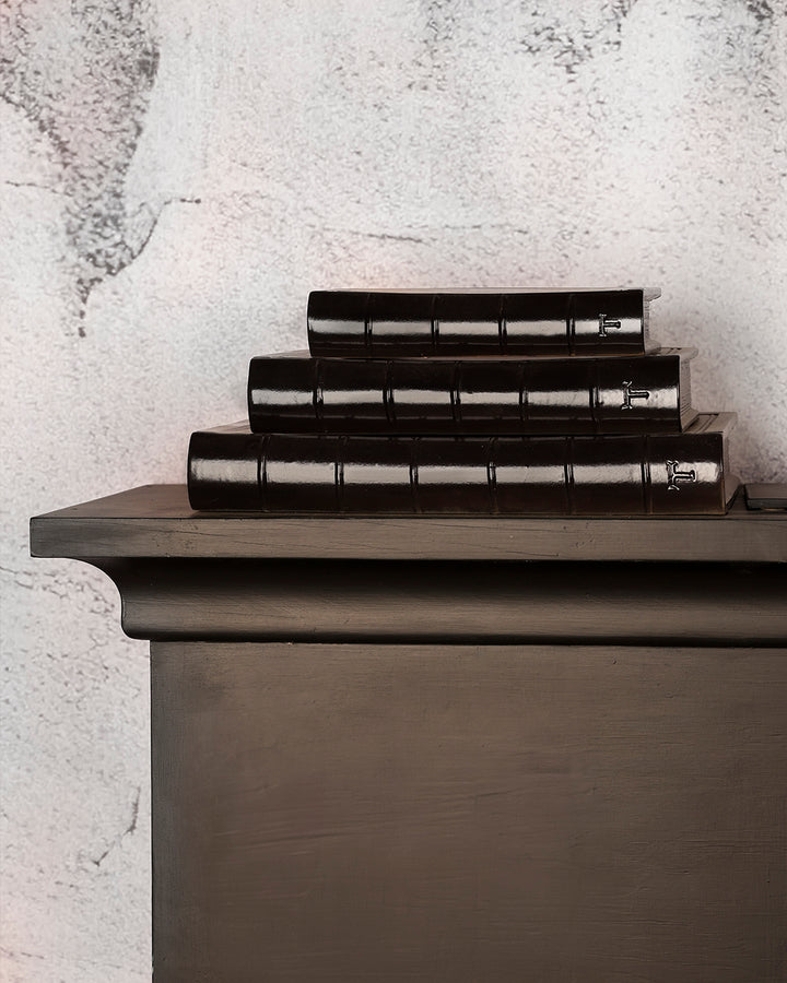 NEO BOOK 22CM H 4CM L 17.5CM W