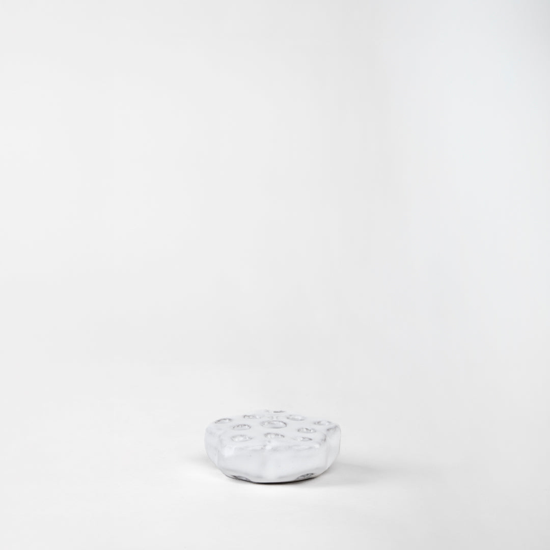 RANA FLORAL 2.5CM AL 7.5CM L 7.5CM AN